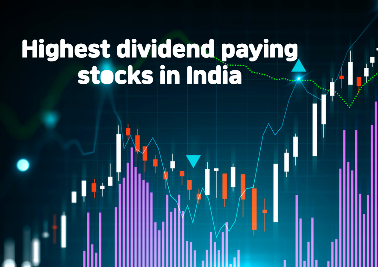 What Are the Highest Dividend Paying Stocks in India in 2022?